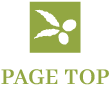 スクロールトップ